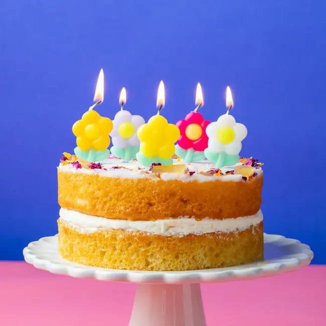Birthday Candles Daisy multi