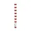Dinner Kerzen Stripe burgundy/white in Display