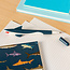 Pen Shark in Display
