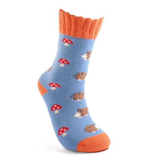 Socks Winter Hedgehogs & Toadstools cornflower