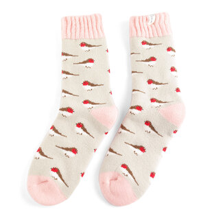 Miss Sparrow Socken Winter Little Robins silver