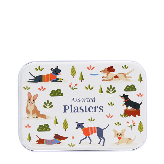 Plaster in a box Dog Park