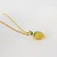 Gold plated Necklace Enamel Zesty Citrus Fruit
