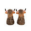 Pfeffer und Salz Streuer Higland Cow Set of 2
