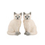 Pfeffer und Salz Streuer Ragdoll Set of 2