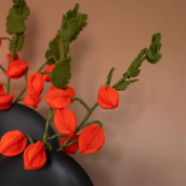 Filzblume Tak Physalis Lampion