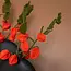 Felt Flower Tak Physalis Lampion