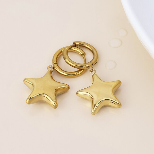 14k Gold plated Earrings Hoop Romy Star