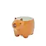 Planter Capybara