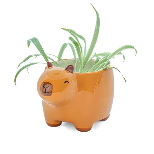 Planter Capybara