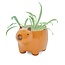 Planter Capybara