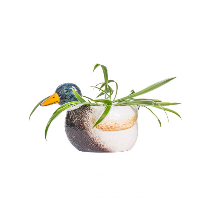 Planter Mallard Duck