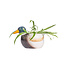 Planter Mallard Duck