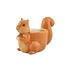 Planter Squirrel