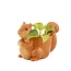 Planter Squirrel