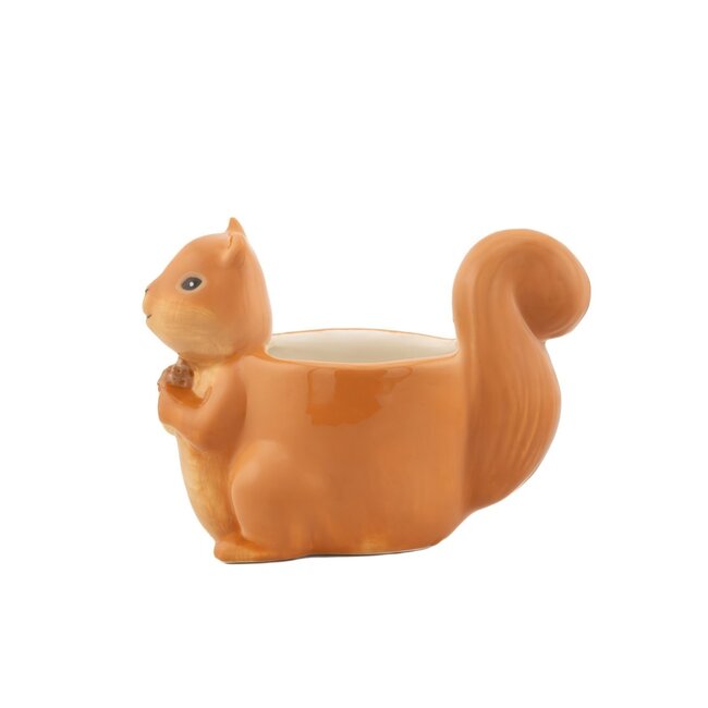 Planter Squirrel