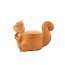 Planter Squirrel