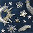 Zip Purse Velvet Embroidered Celestial Night Sky blue