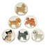 Flummis Playful Pubs in Display assorti