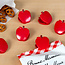 Bag Clips Apple Set of 6