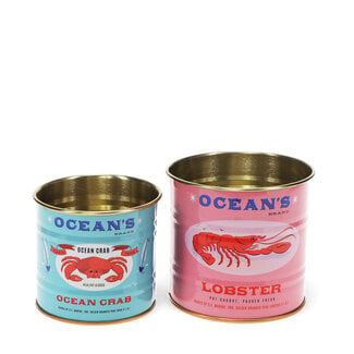 Rex London Aufbewahrungsdosen Ocean's Brand Mini Set of 2