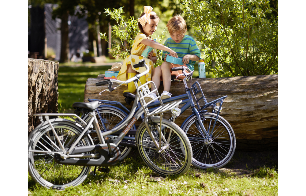 Alpina Cargo jongensfiets met voordrager 20" Space Black Matt 6+