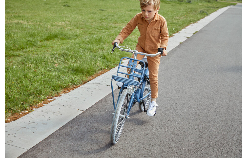 Alpina Cargo jongensfiets met voordrager 20" Vintage Blue Matt 6+