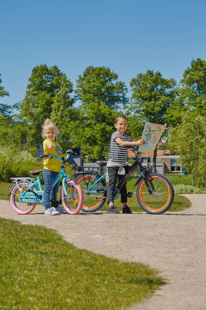 Alpina Girlpower 18" meisjesfiets Candy Pink 5+