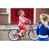 Alpina Girlpower 20" meisjesfiets Alaska Blue Matt 6+