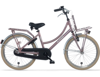 Alpina Cargo meisjesfiets met voordrager 20" Wood Rose Matt 6+