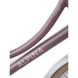Alpina Cargo meisjesfiets met voordrager 20" Wood Rose Matt 6+