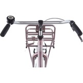 Alpina Cargo meisjesfiets met voordrager 22" Wood Rose Matt 6+