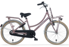 Alpina Cargo meisjesfiets met voordrager 22" Wood Rose Matt 6+