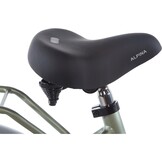 Alpina Cargo meisjesfiets met voordrager 22" Velvet Green Matt 6+