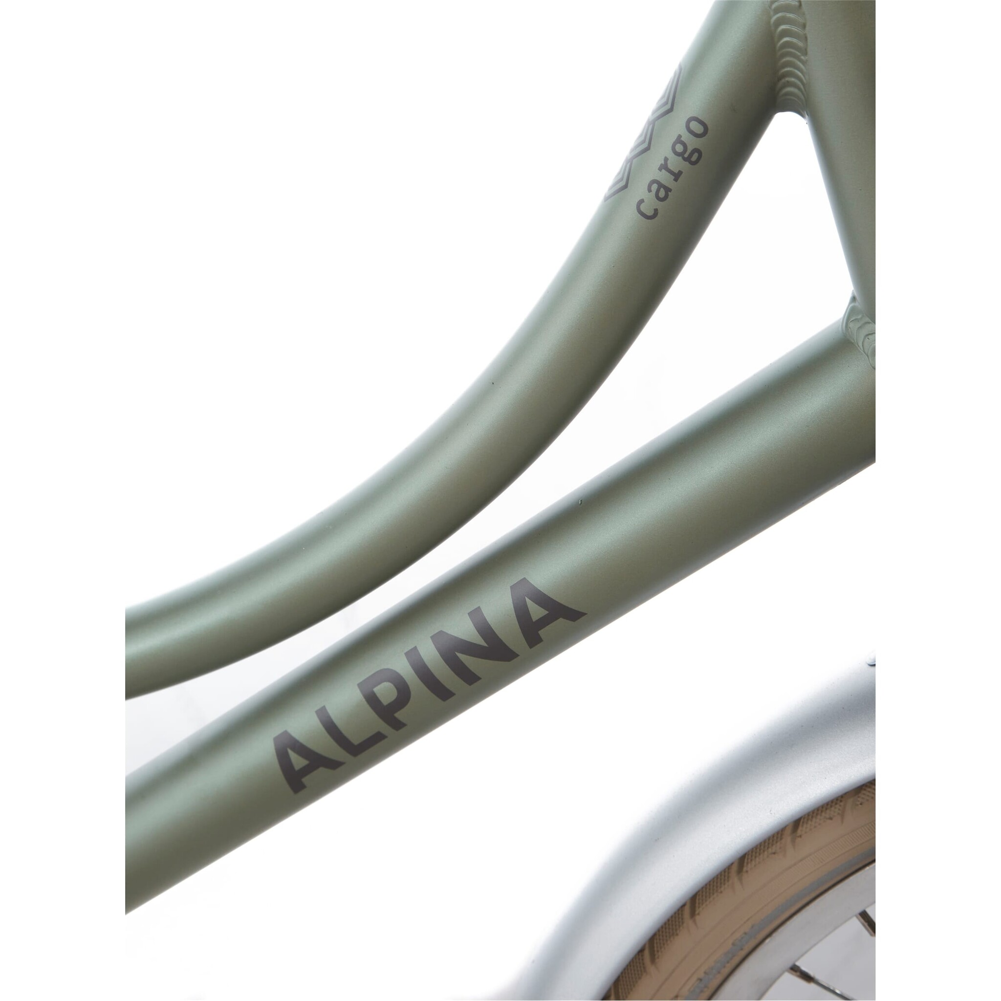 Alpina Cargo meisjesfiets met voordrager 22" Velvet Green Matt 6+