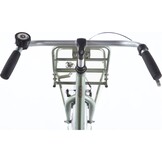 Alpina Cargo meisjesfiets met voordrager 22" Velvet Green Matt 6+