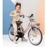 Alpina Clubb meisjesfiets met voordrager 20" Rose Gold Matt 6+