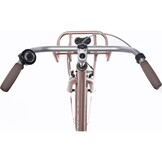 Alpina Clubb meisjesfiets met voordrager 22" Rose Gold Matt 6+