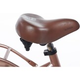 Alpina Clubb meisjesfiets met voordrager 22" Rose Gold Matt 6+