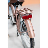 Alpina Clubb meisjesfiets met voordrager 22" Rose Gold Matt 6+