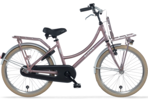 Showroom model - Alpina Cargo meisjesfiets met voordrager 20" Wood Rose Matt 6+
