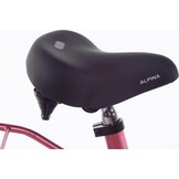 Showroom model - Alpina Cargo meisjesfiets met voordrager 18" Berry Red Matt 5+
