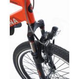 Showroom model - Alpina Trial jongensfiets 20" Deep Red Matt 6+