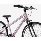 Puky LS-PRO 24" 8-versnelling pink-antraciet 8+