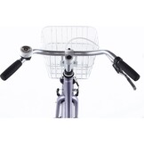 Showroom model - Alpina Ocean 20" Meisjesfiets Hazy Lavender Matt 6+