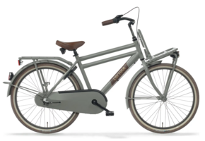Cortina U4 Transport Mini  26" 3-speed Muted Sage Matte 10+