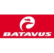 Batavus