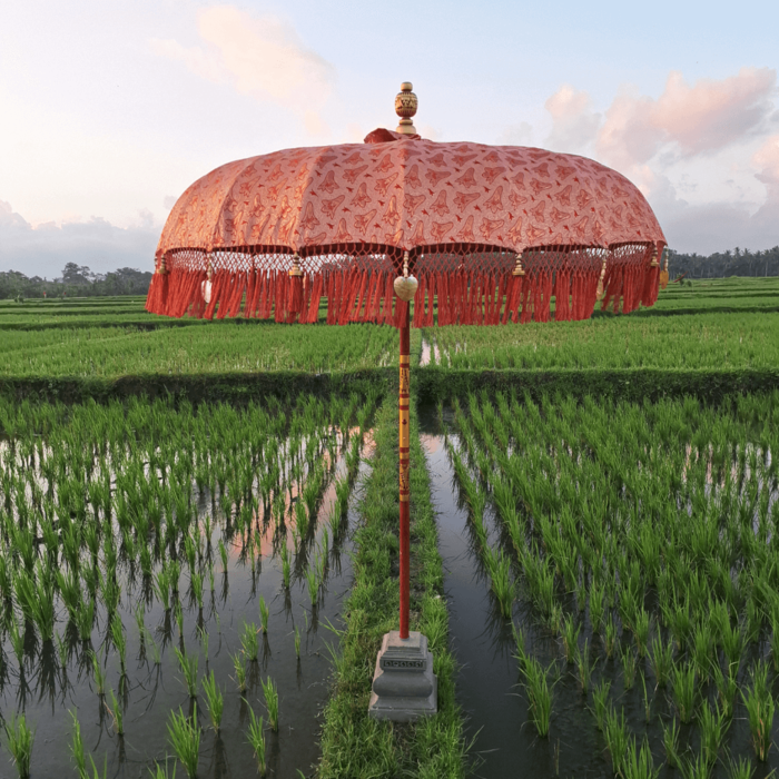 Parasol Sun flake - Wonderella