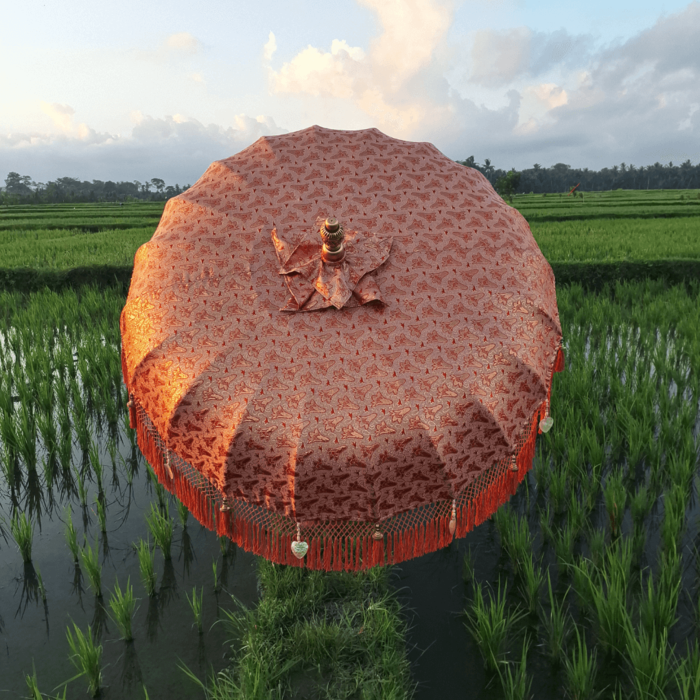 Parasol Sun flake - Wonderella