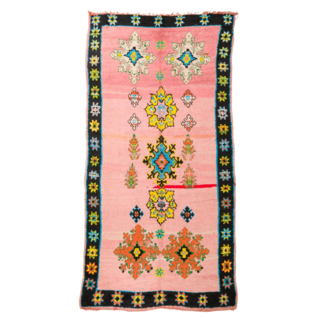 Mguild vloerkleed multi 220x300cm